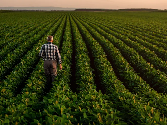 Soybean farmers